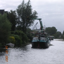Een grote boom in uw achtertuin is voor ons geen probleem