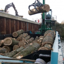 Ook bij grootschalige kapwerkzaamheden bieden wij ergonomische oplossingen